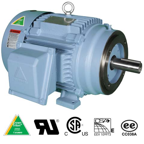 HHI100-36-405TSC - HYUNDAI Crown TritonTM Series Motors-Premium